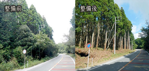 富士山世界文化遺産森林景観整備事業