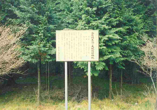 金原明善翁大規模植林地